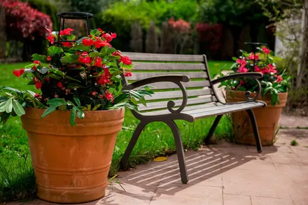 Backyard rest area — 1435 NW 188th St, Shoreline