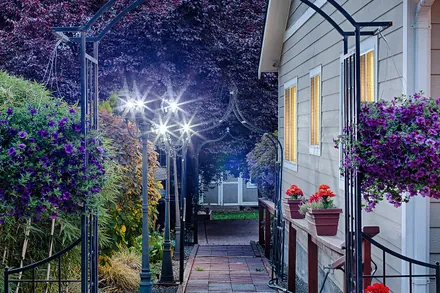Garden pathway — 14028 19th Ave NE, Seattle